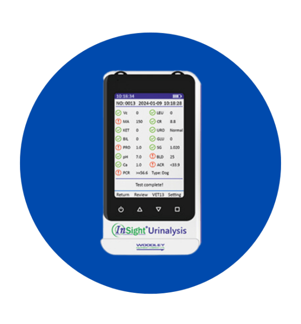 Insight Urinalysis